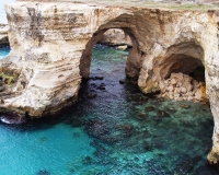 19-Grotte-marine-a-Sant'Andrea