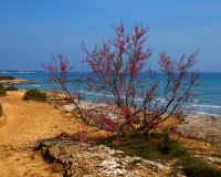 55-Baia-dei-Turchi